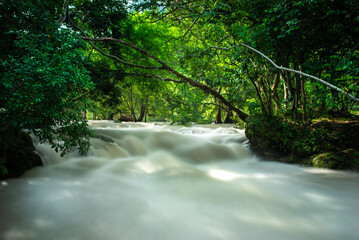 Micos Waterfalls in Huasteca, San Luis Potosi, Mexico.  Flowing Water and Lush Jungle (cascada de Micos)