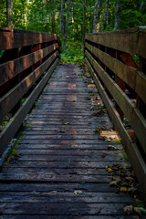 Wooden footbridge in forest close-up, planked walkway with autumn leaves