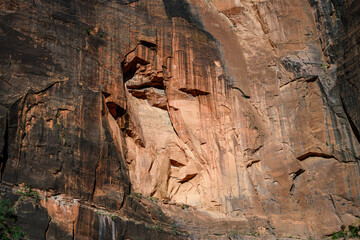 Closeup of red sandstone rock cliff geologic feature with patterns and texture in erosion, as a nature background, Zion National Park, Utah
