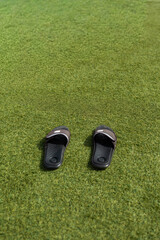 Slippers resting on green grass enjoying summer relaxation