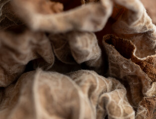 Close up of Brown Dry Leaf