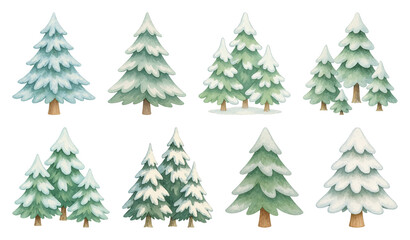 Obraz premium PNG Charming winter evergreen illustrations, element set on transparent background