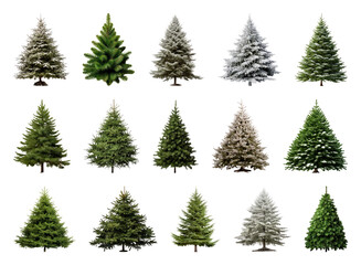 Obraz premium PNG Various evergreen trees in winter, element set on transparent background