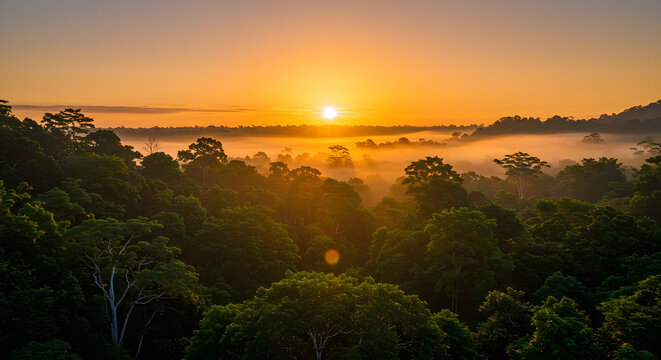 **Morning Mist Over Dense Amazon Rainforest**