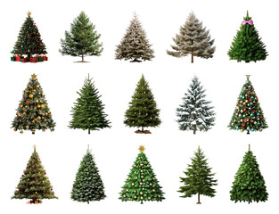 Fototapeta premium PNG Variety of decorated Christmas trees, element set on transparent background