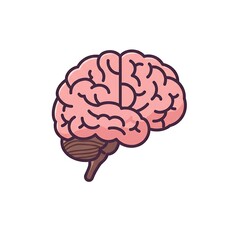 Colorful Flat Illustration of a Human Brain