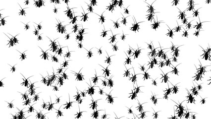 Many cockroaches isolated on transparent background