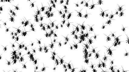 Many cockroaches isolated on transparent background