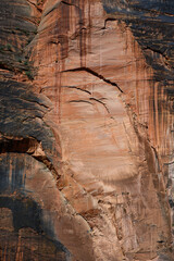 Closeup of red sandstone rock cliff geologic feature with patterns and texture in erosion, as a nature background, Zion National Park, Utah
