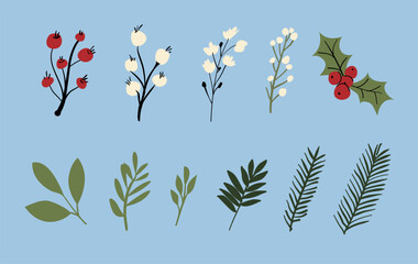 Hand drawn vector winter floral elements. Winter branches and leaves with red and white berries. Vintage botanical illustrations.