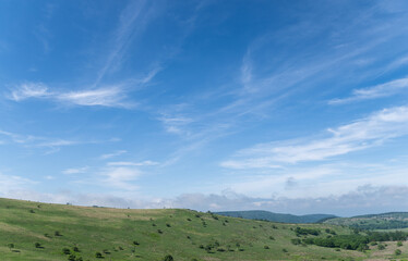 Obraz premium 爽やかな夏の高原 霧ヶ峰 