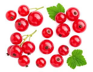 Red currants arranged on white background