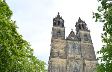 Magdeburg, cathedral double towers view and trees in spring