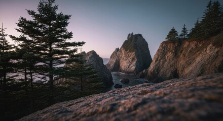 Coastal rock formations at sunset. Lush evergreen trees frame a dramatic view of jagged, gray cliffs overlooking a tranquil cove