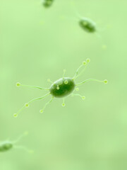 Micro probiotic lactobacillus green microorganism Realistic style. Medical, healthcare and scientific concept.