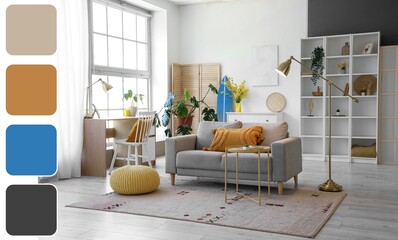 Interior of living room with sofa, workplace, shelving unit and surfboard. Different color patterns