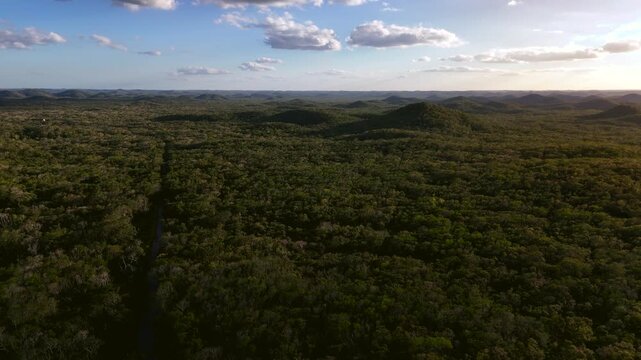 Aerial push in over dense forest toward archaeological site in Yucatan