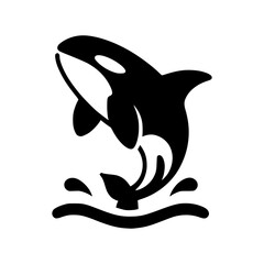 Naklejka premium A leaping Orca in the ocean