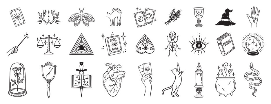 Boho witchy elements set heart and moths, spellbook all seeing eye, goblet and candle, beetle and snake, rose and astrology symbols hand drawn monochrome line art, outline contour