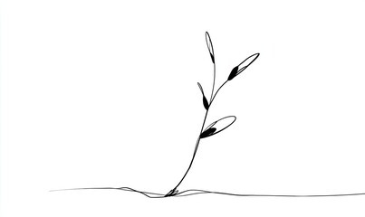 Fototapeta premium Simple line drawing of a young plant