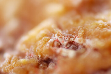 Macro shot of fungal spores growth on tofu pok surface
