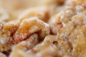 Macro shot of fungal spores growth on tofu pok surface