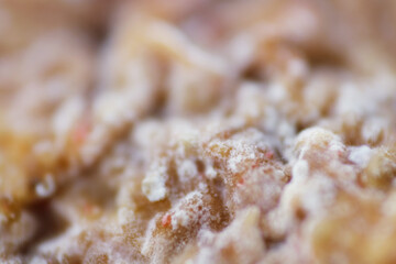 Macro shot of fungal spores growth on tofu pok surface