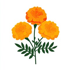 Three vibrant orange marigold flowers with dark green leaves