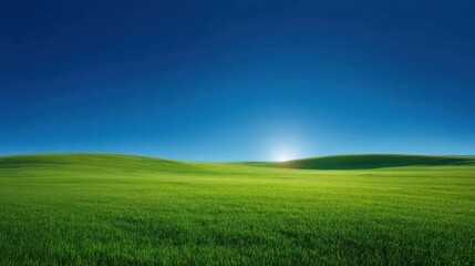 Obraz premium Bright and Lush Green Field Under Clear Blue Sky with Gentle Horizon at Sunrise