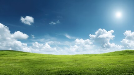 Obraz premium Vast Green Meadow Under Clear Blue Sky with Fluffy White Clouds and Brilliant Sunlight