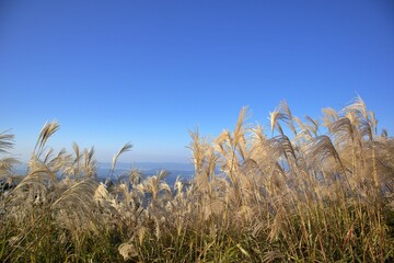 秋の生石高原と広がる青空