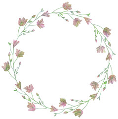 Isolated vector illustration. Round floral decor or frame. Wreath of wild flowers. Gillyflower or carnation. Matthiola bicornis. Clove blossom.