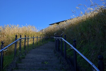 秋の生石高原と澄んだ青空