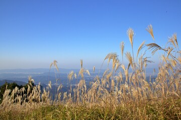 秋の生石高原と広がる青空