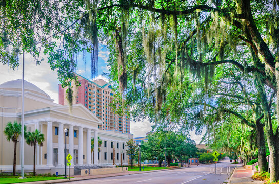 Florida Supreme Court in Tallahassee Florida