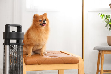 Cute Pomeranian dog on ottoman near electric heater at home