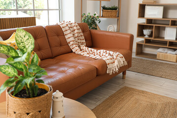 Interior of living room with sofa and plants in wicker baskets