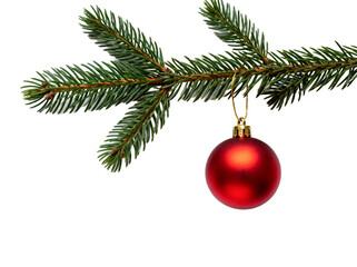 A red Christmas ball is hanging on a green pine tree branch, representing festive holiday atmosphere.