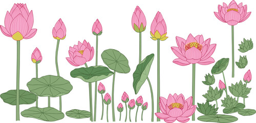 Obraz premium Lotus Flower Arrangement Pink Blooms and Green Leaves Vector Illustration