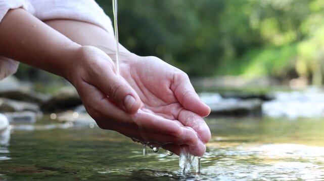 Save water concept. Woman taking clean water into her hands from river outdoors, closeup