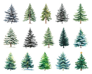 Obraz premium Diverse watercolor evergreen tree collection.