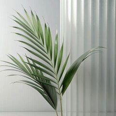 Green palm with reeded glass. White Reeded Glass. Ribbed Background. Minimal wood wall with sunny tree decoration. Plant leaves. Pure abstract design on empty background for clean modern look.