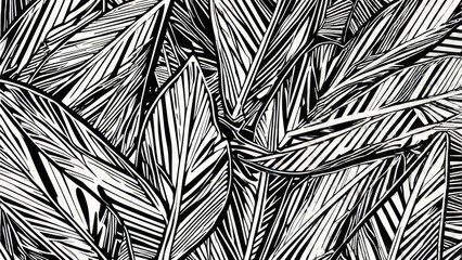 Striking monochrome abstract pattern of large tropical palm leaves creating a bold, modern, and dramatic natural design ideal for stylish backgrounds