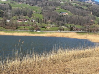 Swiss subalpine lake Lauerz in the valley basin of Schwyz, Switzerland - Lauerzersee im Talkessel von Schwyz, Schweiz