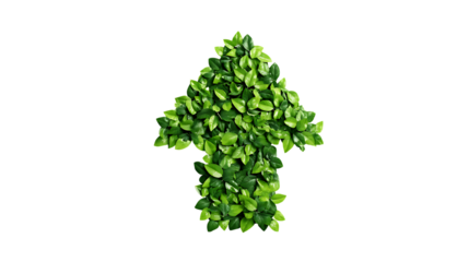 Upward arrow made of green leaves isolated on transparent background.
