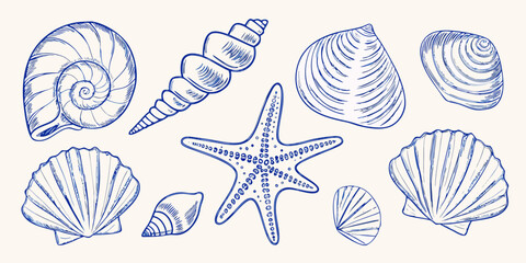 Collection of hand drawn blue line art seashells and starfish on a light background