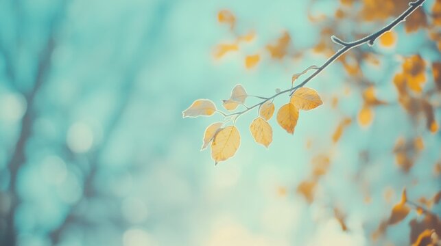 Gentle autumn leaves swaying on a branch in soft sunlight - Powered by Adobe