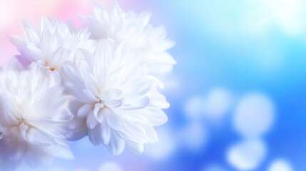 Delicate white flowers against a soft blue and pink background in spring