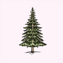 Vector art of a detailed illustration of a coniferous evergreen tree with a textured appearance