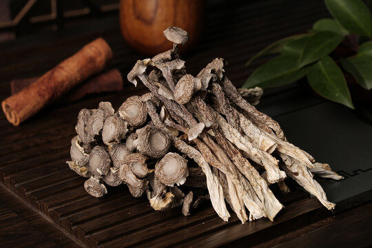 Dried Deer Antler Velvet and Medicinal Mushrooms Traditional Chinese Medicine Ingredients Yunnan